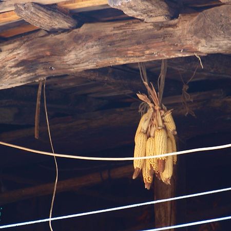 Ramajal Rural ξενώνας Horcajo  Εξωτερικό φωτογραφία