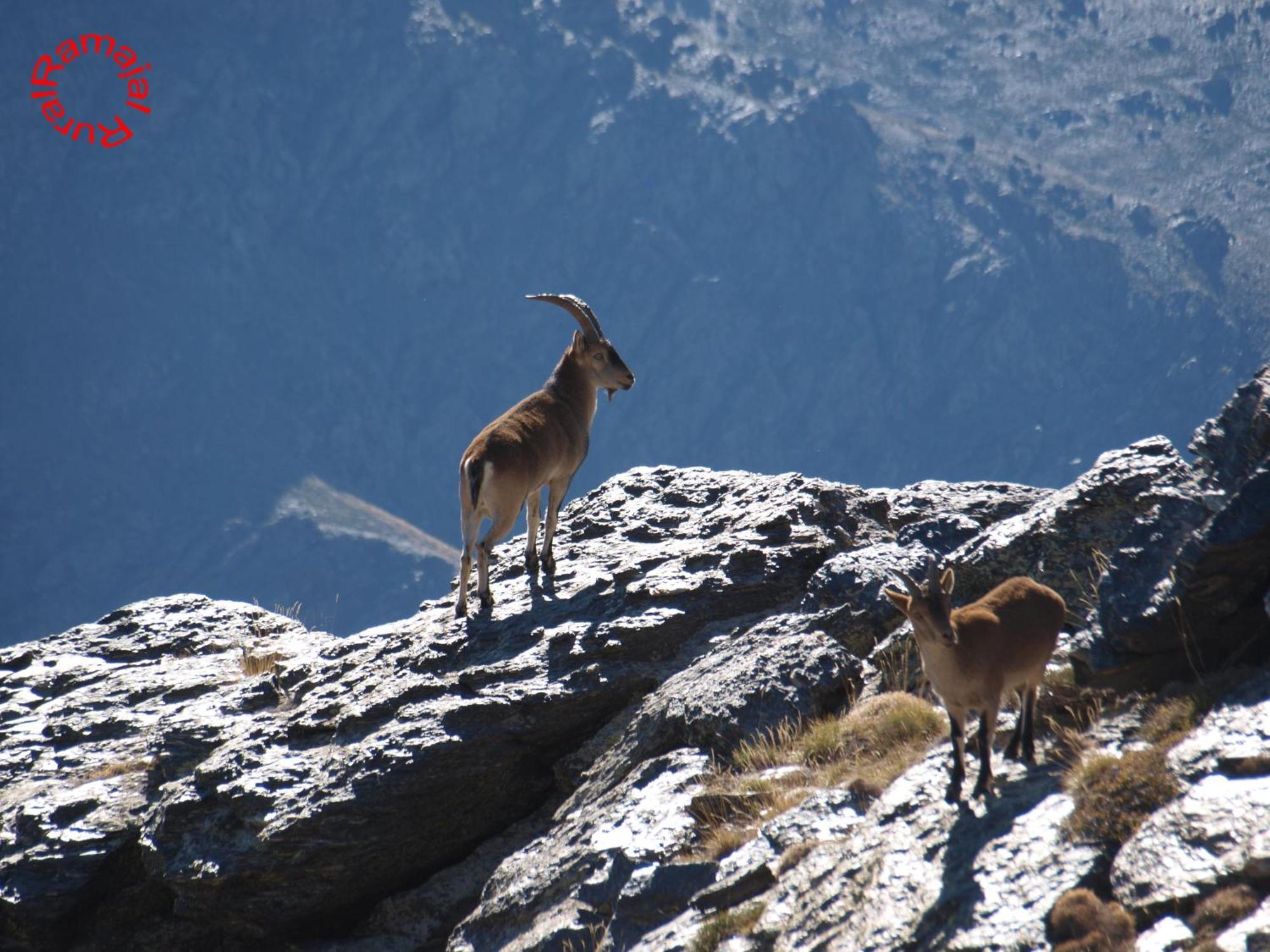 Ramajal Rural ξενώνας Horcajo  Εξωτερικό φωτογραφία