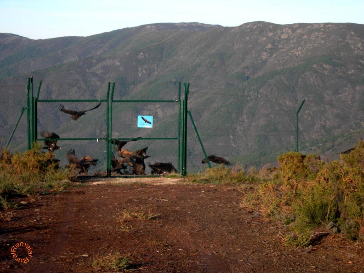 Ramajal Rural ξενώνας Horcajo  Εξωτερικό φωτογραφία